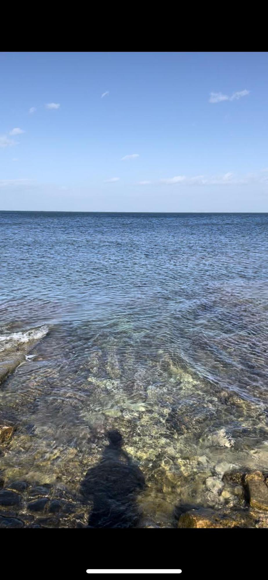 La Villetta Sul Mare Bari Dış mekan fotoğraf
