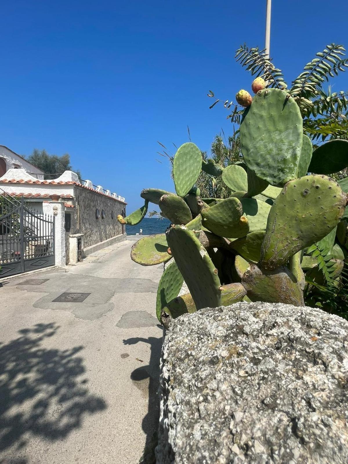 La Villetta Sul Mare Bari Dış mekan fotoğraf